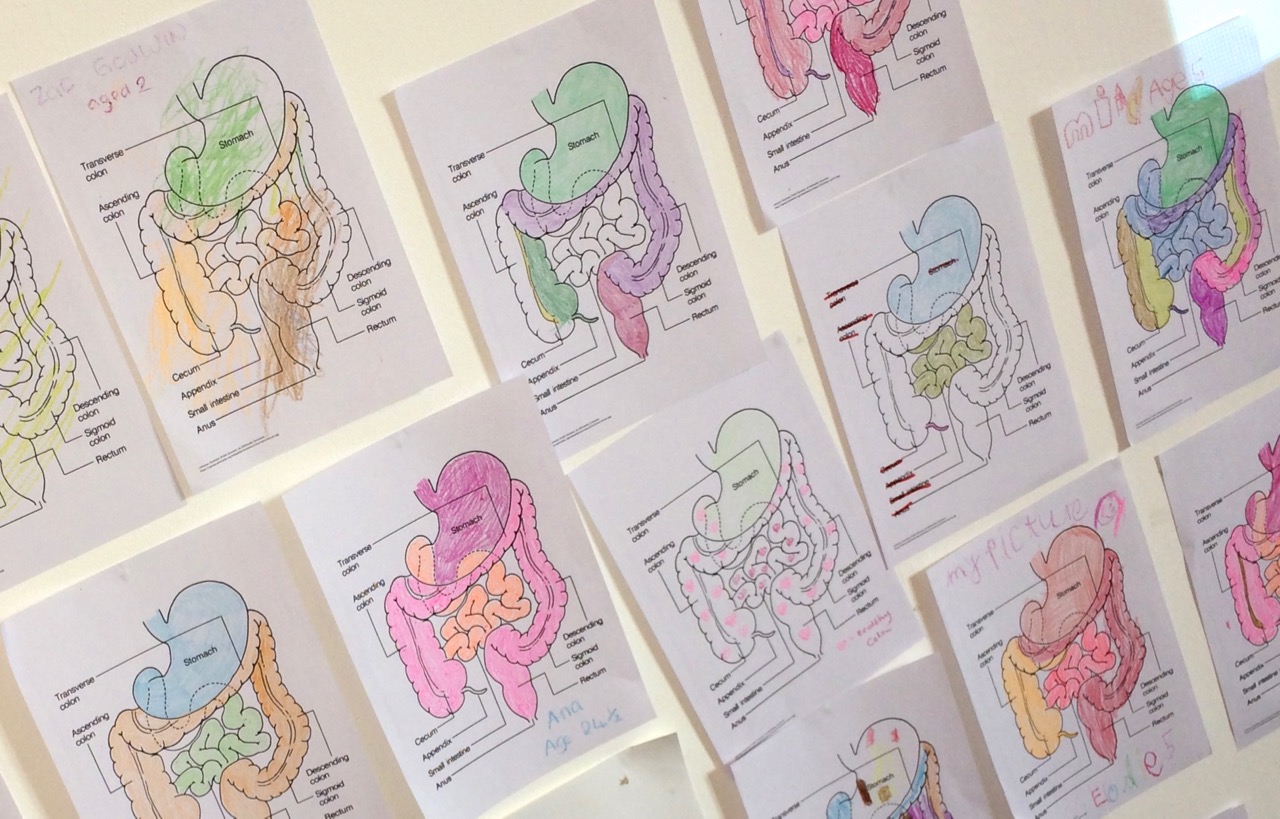Research engagement: bowel anatomy artwork